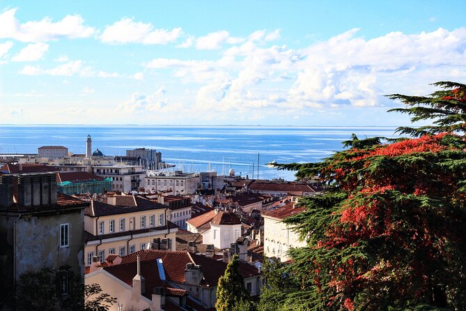 Trieste Private Walking Tour with a Local - Key points to know before booking