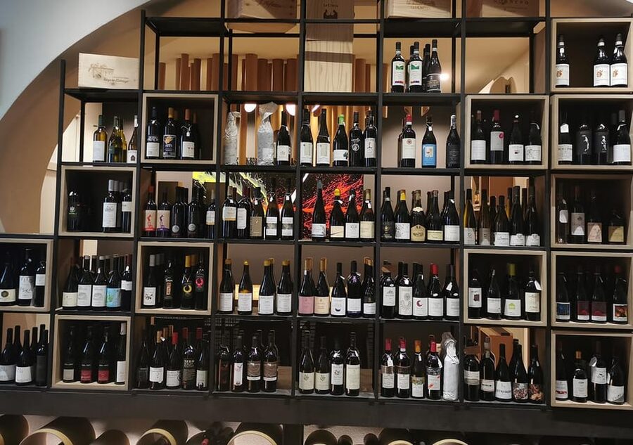 Trieste: Wine Tasting from Istria, Carso and Friuli terroirs - Second pour: Terrano and Karst character