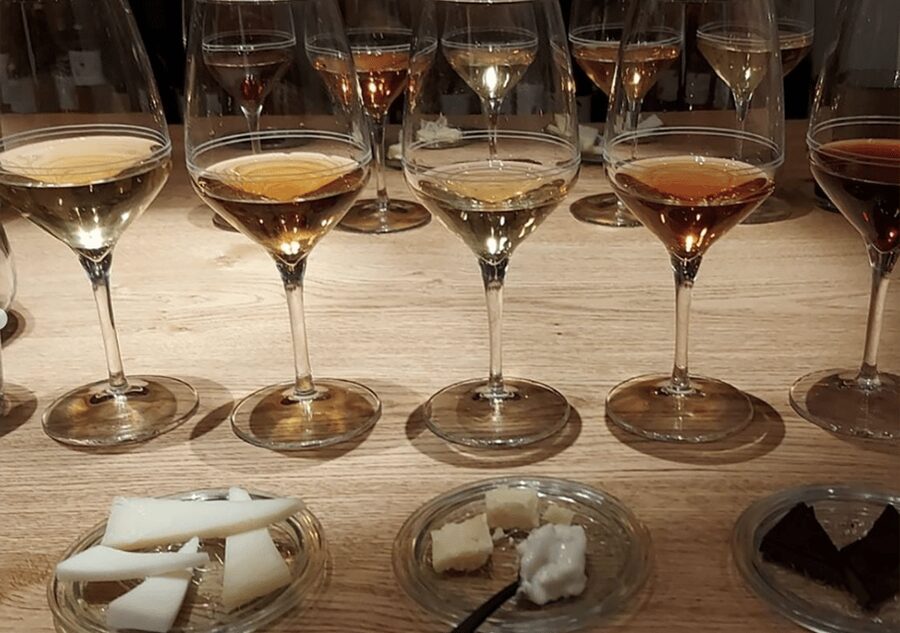 Trieste: Wine Tasting from Istria, Carso and Friuli terroirs - Timing, cancellation, and small practical details