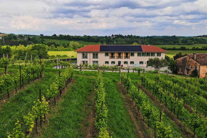 Unconventional Prosecco Tasting with Stunning View on Vineyards - The Prosecco tasting and plentiful platter
