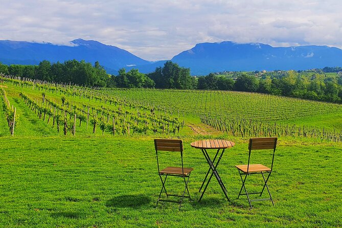 Unconventional Prosecco Tasting with Stunning View on Vineyards - Is $46.81 a fair price?