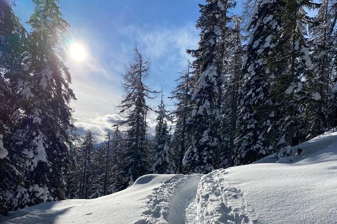 UNESCO Dolomites great expedition from Venice by Yellowboot - Is the $290.23 price good value?