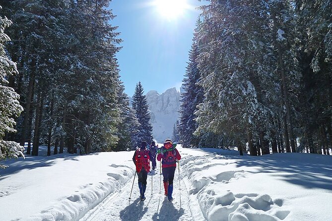 UNESCO Dolomites great expedition from Venice by Yellowboot - The private drive into the Veneto Dolomites