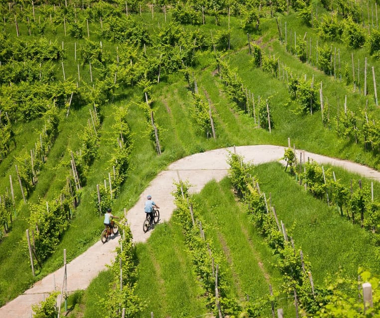 Valdobbiadene: e-bike Tour on the Prosecco Hills - Why an E-Bike Is the Right Way to See Valdobbiadene