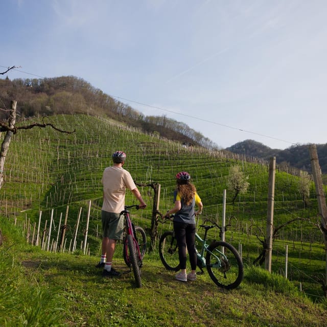 Valdobbiadene: e-bike Tour on the Prosecco Hills - What Makes the Small Group Format Valuable