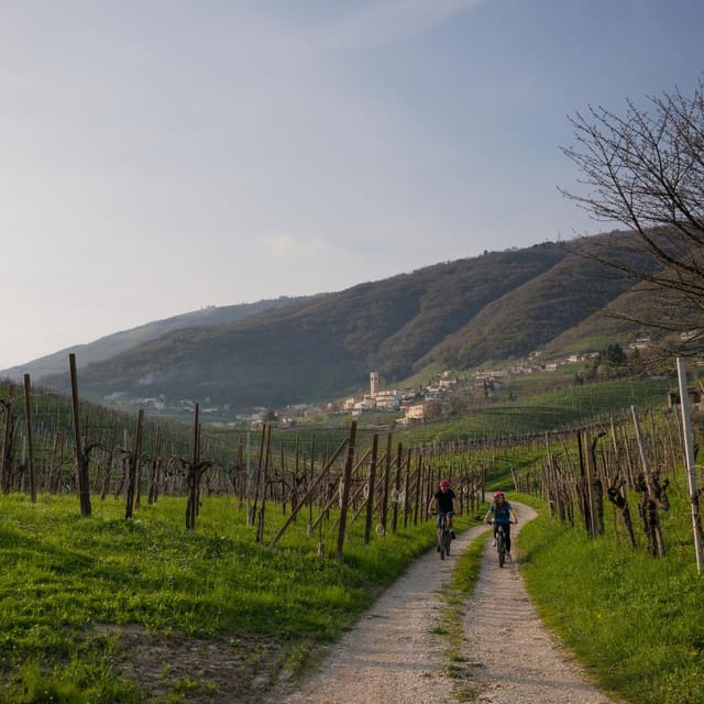 Valdobbiadene: e-bike Tour on the Prosecco Hills - Practical Tips for a Better Four Hours