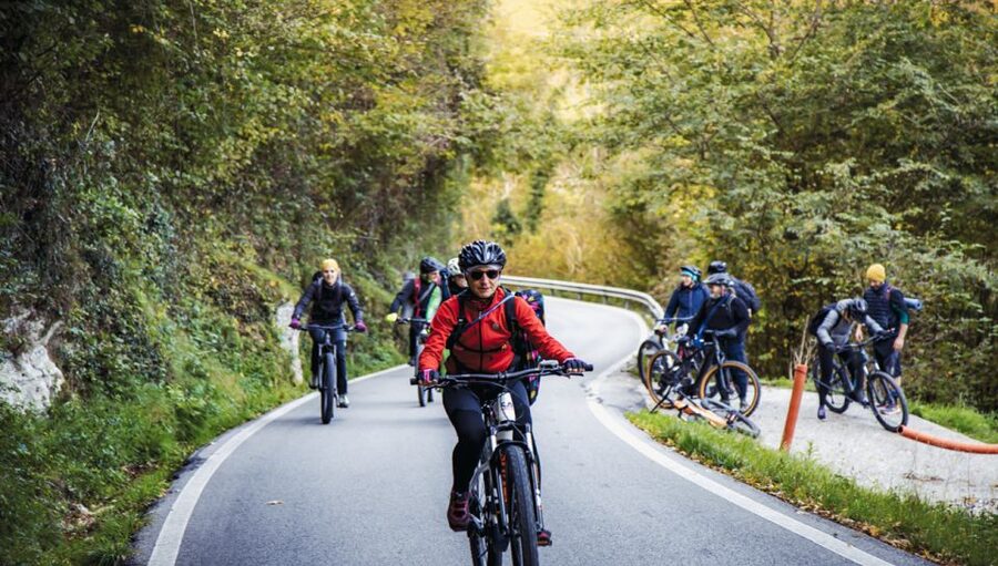 Valdobbiadene: Guided E-Bike Tour in Prosecco Hills - Key points to know before you book