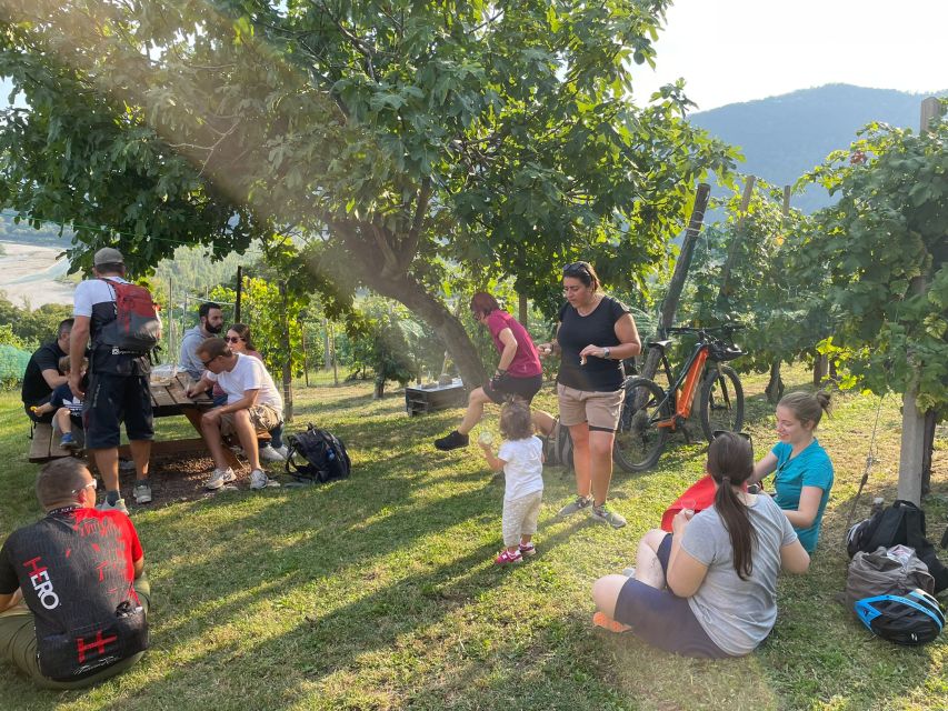 Valdobbiadene: Guided E-Bike Tour in Prosecco Hills - Who should book, and who should skip it