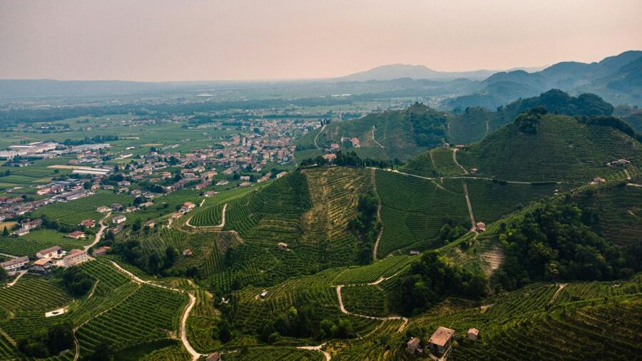 Valdobbiadene: Prosecco private tour & taste with Sommelier - A private vehicle makes the route easier