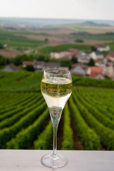 Prosecco private tour & taste with Sommelier