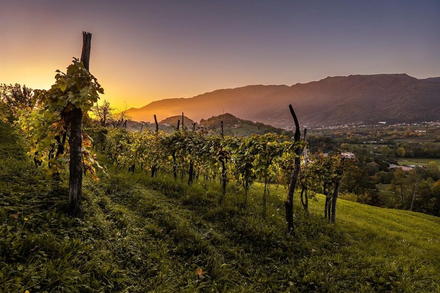 Valdobbiadene: Prosecco private tour & taste with Sommelier - Santo Stefano: the first winery and tasting