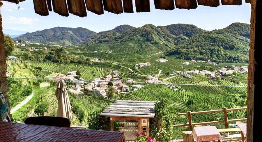 Valdobbiadene: Prosecco private tour & taste with Sommelier - Prosecco styles you may taste