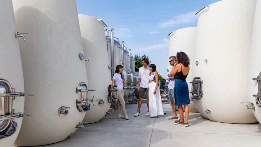 Valdobbiadene:Prosecco tasting,appetizers,winery & vineyard - Why Cartizze matters in the Prosecco world