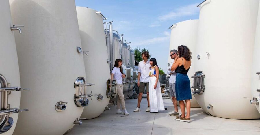 Valdobbiadene:Prosecco tasting,appetizers,winery & vineyard - Four wines and a modest local snack board