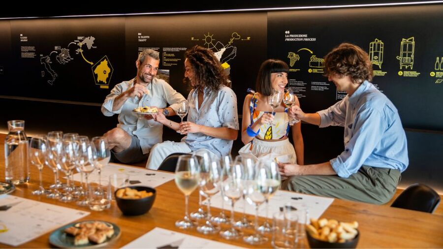 Valdobbiadene:Prosecco tasting,appetizers,winery & vineyard - Is the $47 price good value?
