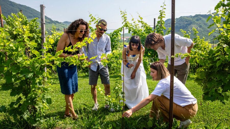 Valdobbiadene:Prosecco tasting,appetizers,winery & vineyard - What to know about cancellation and weather
