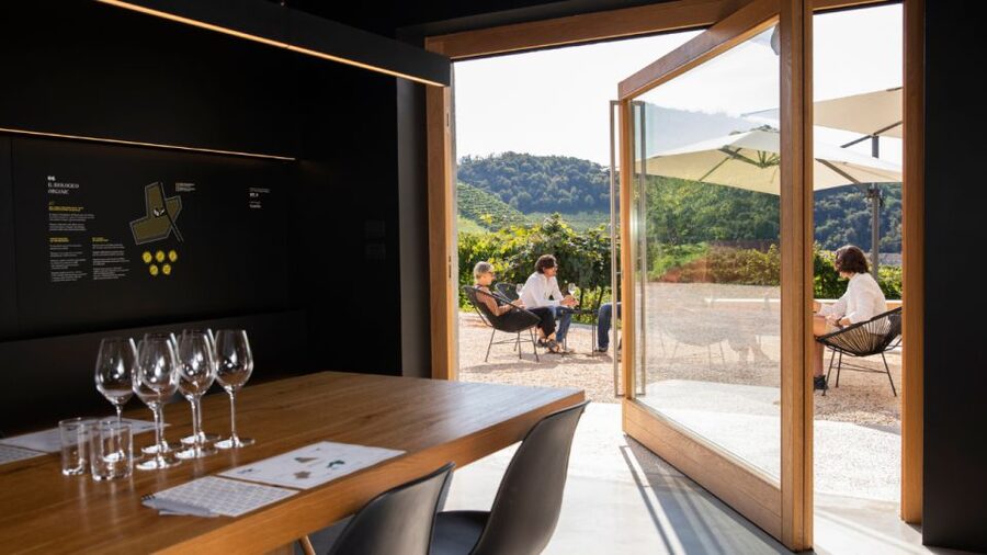 Valdobbiadene:Prosecco tasting,appetizers,winery & vineyard - The tasting room starts with a practical lesson