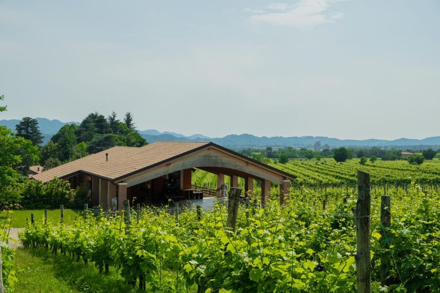 Valdobbiadene: Prosecco Tasting Experience - A practical one-hour plan