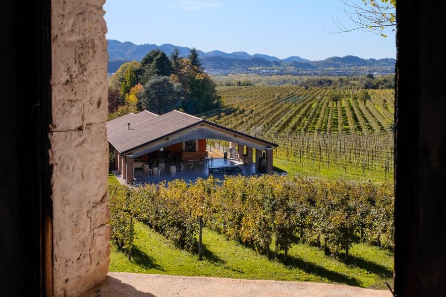 Valdobbiadene: Prosecco tasting where Art meets Wine - Key points at a glance
