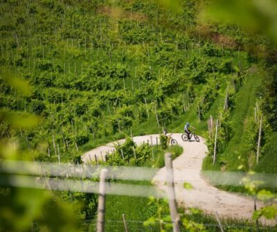 self-guided e-bike tour in the Prosecco Hills