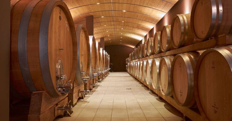 Valpolicella: Amarone Experience with Cantina Visit - Why the old Amarone tasting is the main event