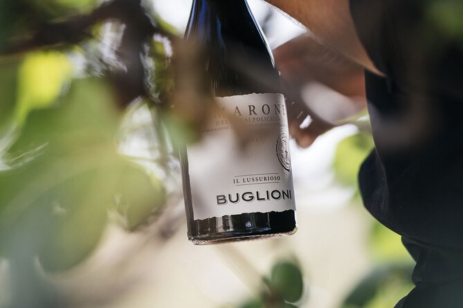 Valpolicella Lunch or Dinner Wine & Food tasting with Amarone - Starting among Buglioni’s organic vineyards