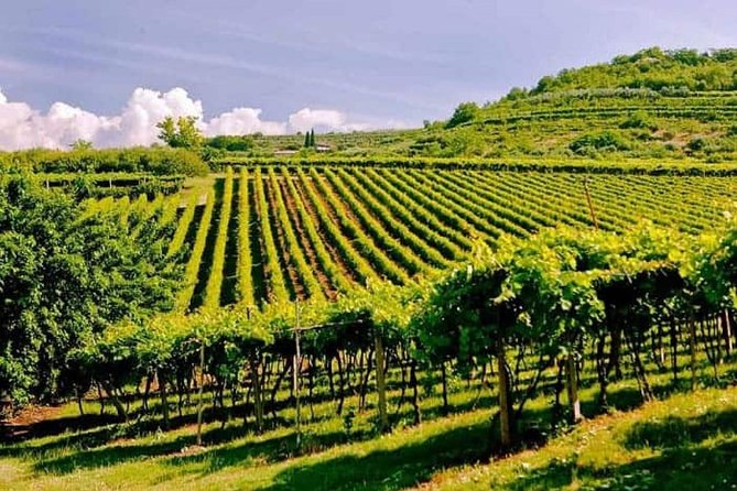 Valpolicella - The wine paradise - Key points before you book