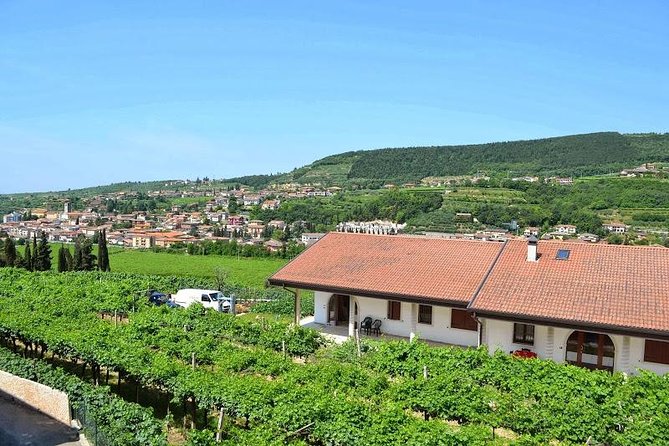 Valpolicella - The wine paradise - Why Valpolicella makes a smart side trip from Verona