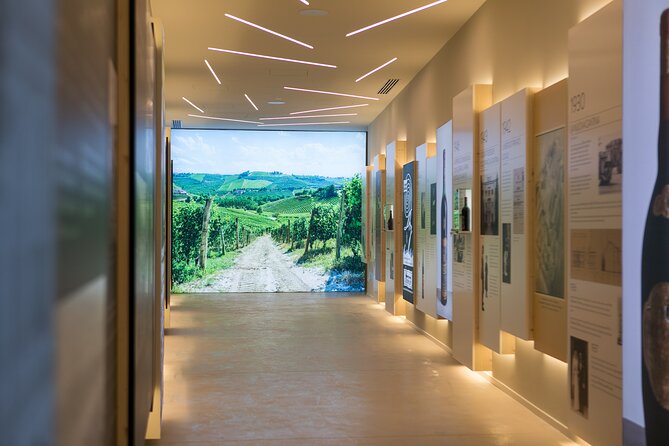 Valpolicella Wine Experience at Montresor winery - Key points to know before booking