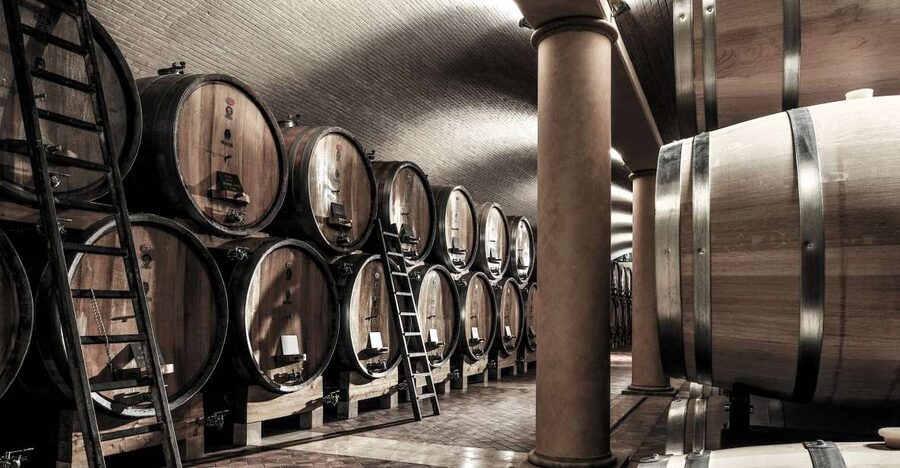 Valpolicella: Wine Tasting With A Sommelier and Light Lunch - Six wines, including Amarone and Recioto