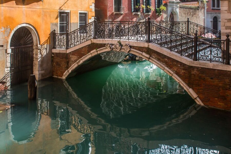 Venice: 2-Hour Private Photo Walk - The five portraits are more than a small extra