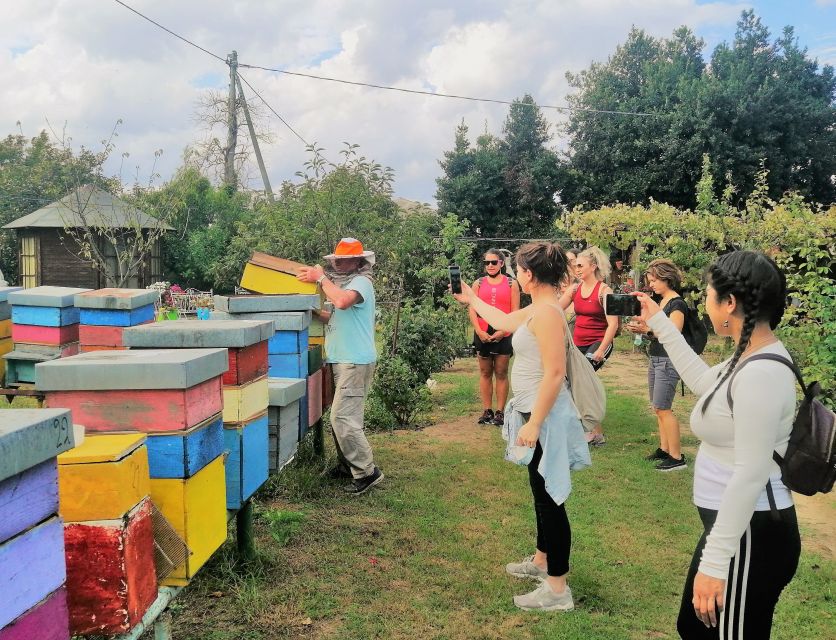 Venice: Bike Tour Honey & artichockes on Sant’Erasmo Island - Why Sant’Erasmo makes a fine change from central Venice