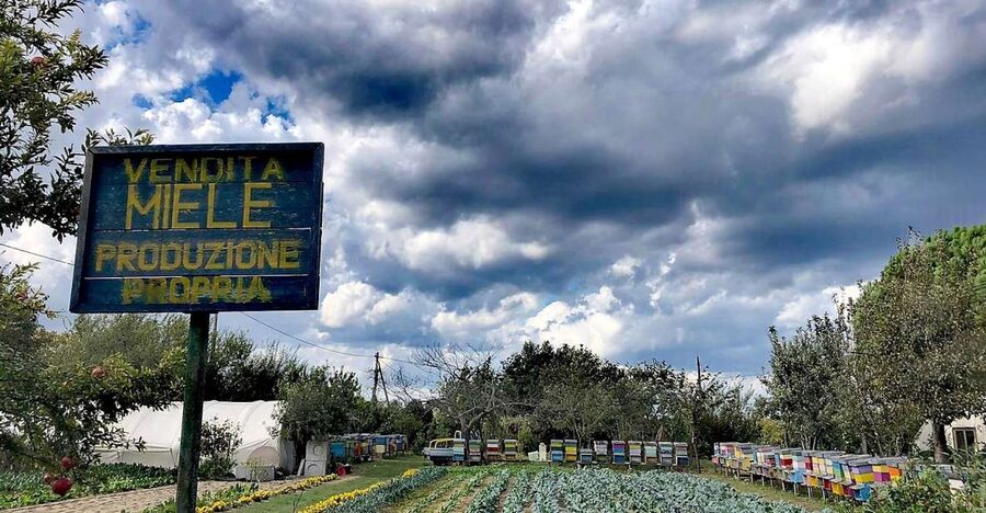 Venice: Bike Tour Honey & artichockes on Sant’Erasmo Island - Meeting Valerio at Fondamente Nove