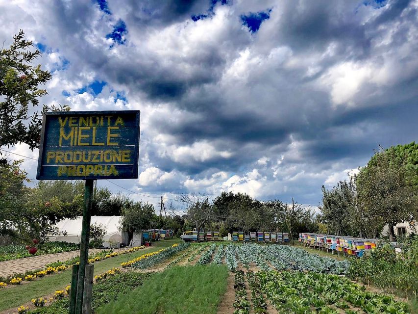 Venice: Bike Tour Honey & artichockes on Sant’Erasmo Island - Starting beside the nineteenth-century fort