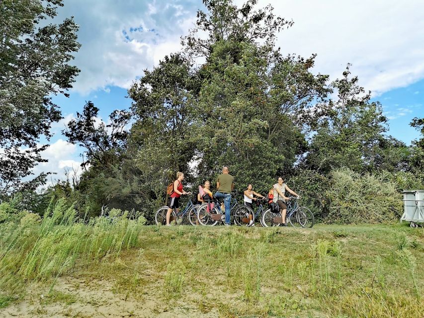 Venice: Bike Tour Honey & artichockes on Sant’Erasmo Island - Riding past artichokes, saltmarshes, and lagoon views