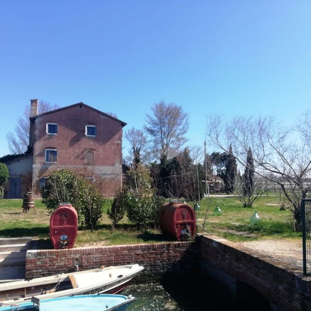 Venice: Bike Tour Honey & artichockes on Sant’Erasmo Island - Crossing the lagoon to Sant’Erasmo