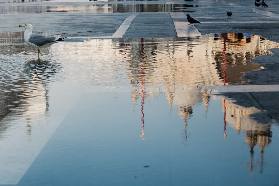 Venice: City Tour and Murano Glass Experience - Returning to San Marco through side canals