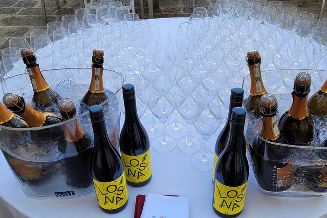 Venice like a local: Vini and Cichetti at Liuba and Hugo's home - Lugana with savory bites