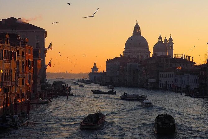 Venice Marco Polo Airport Private Arrival Transfer via Motorboat - A memorable first ride into Venice
