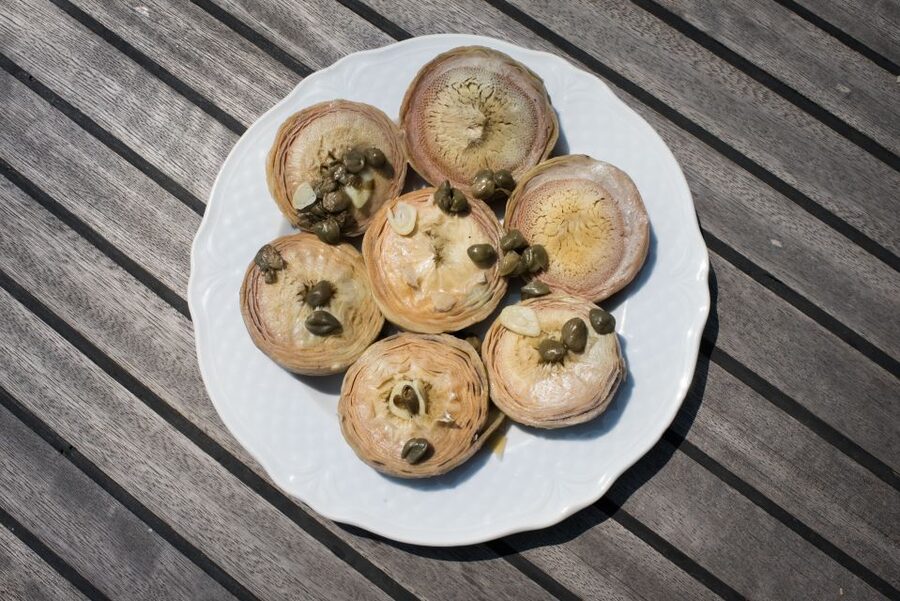 Venice: Market Tour and Meal at a Local's Home - Who should book this experience