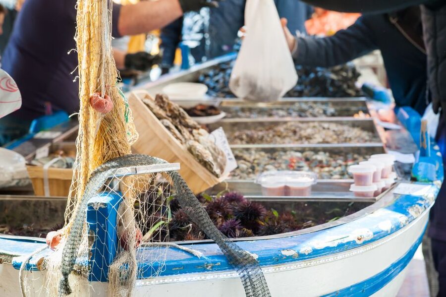 Venice: Market Tour and Meal at a Local's Home - The value of a private host and private table