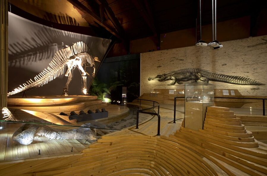 Venice: Natural History Museum Entry Ticket - Key points to know before you go