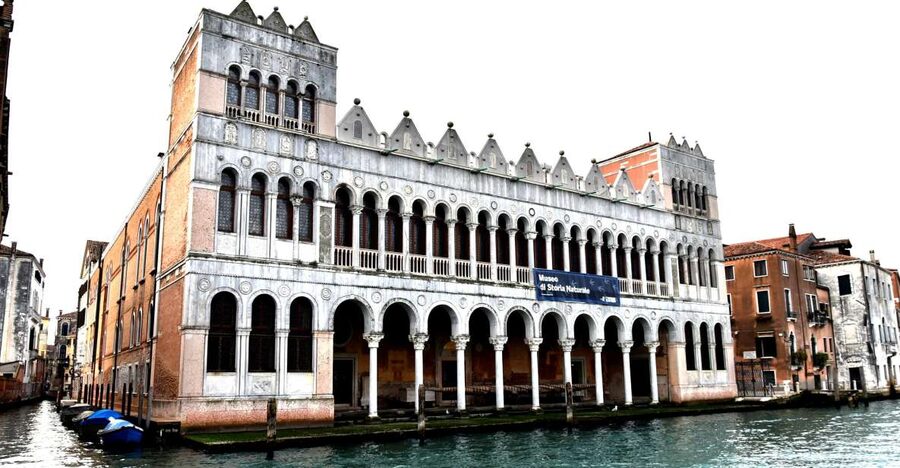 Venice: Natural History Museum Entry Ticket - Language and self-guided touring