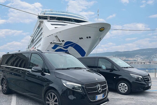 Venice Private Transfer to Trieste Port for Cruises - The water taxi connection from an island hotel