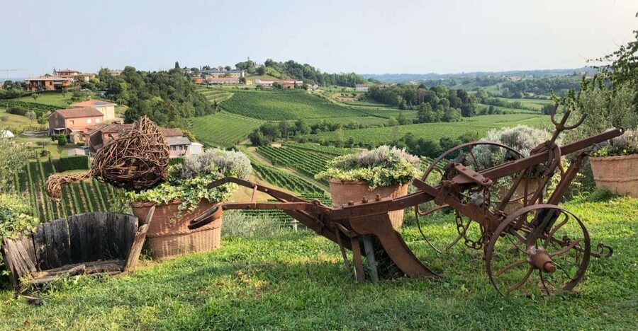 Venice: Prosecco Hills Wineries Tour with Tastings and Lunch - Key points at a glance