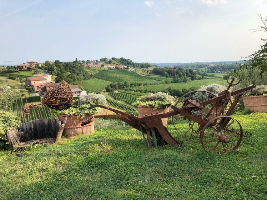 Venice: Prosecco Hills Wineries Tour with Tastings and Lunch - Aperitivo among the vineyards