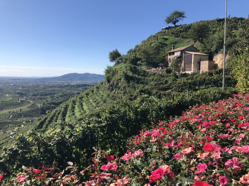 Venice: Prosecco Hills Wineries Tour with Tastings and Lunch - A four-course lunch with the guide’s family