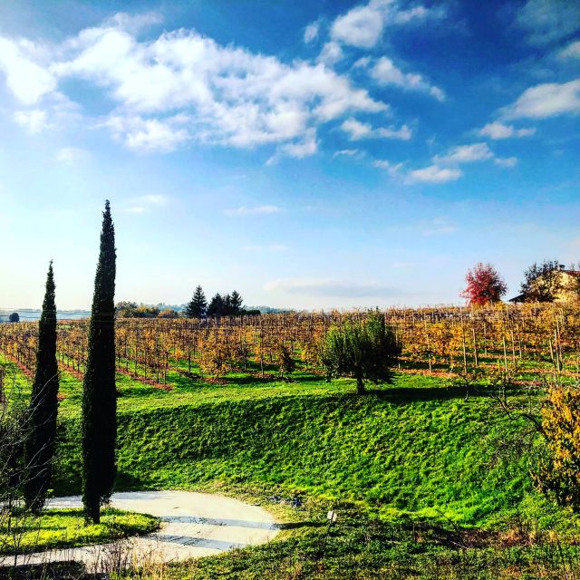 Venice: Prosecco Hills Wineries Tour with Tastings and Lunch - What the small group changes