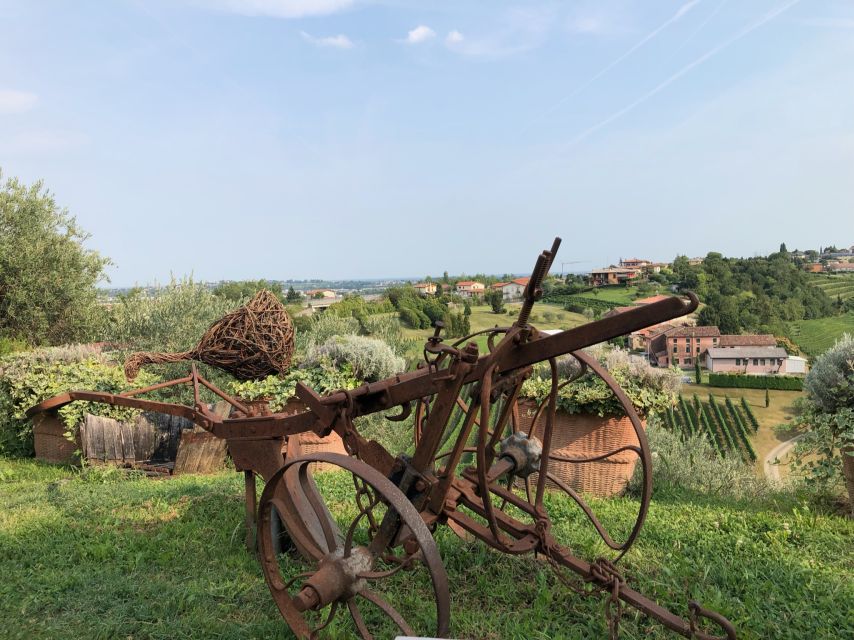 Venice: Prosecco Hills Wineries Tour with Tastings and Lunch - Price and overall value at $202.78