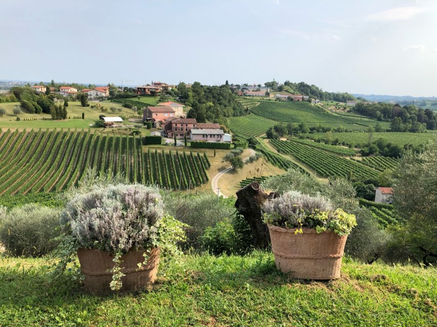 Venice: Prosecco Hills Wineries Tour with Tastings and Lunch - Who should book this day?